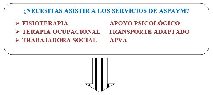 Fisioterapia, terapia ocupacional, trabajadora social, apoyo psicológico, transporte adaptado, APVA